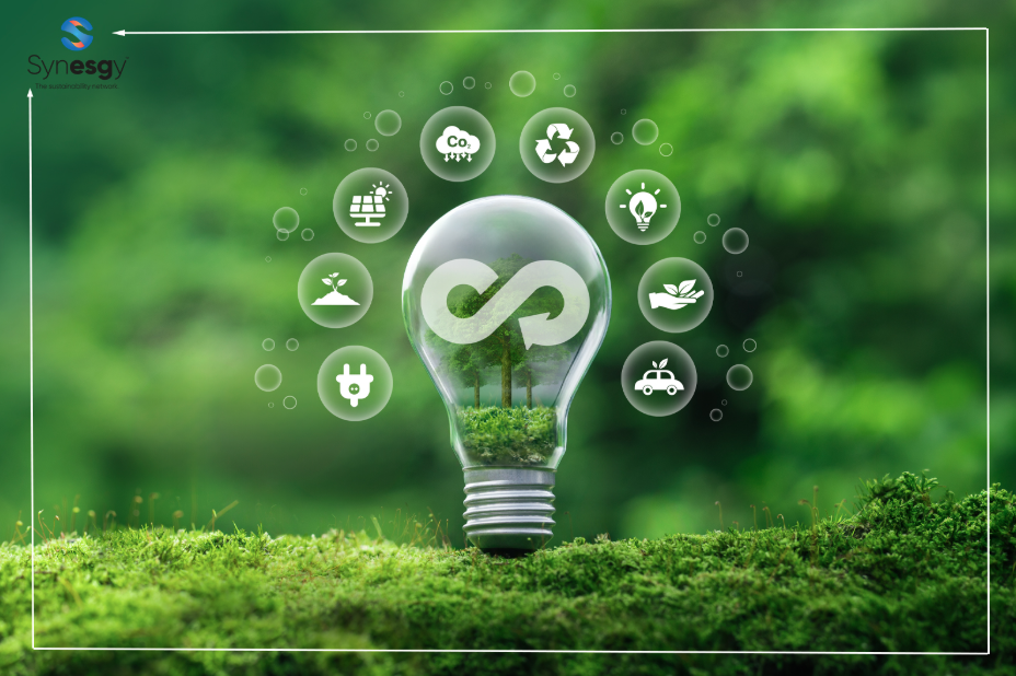 Sustainable Finance And Green Lending Standards In The UAE