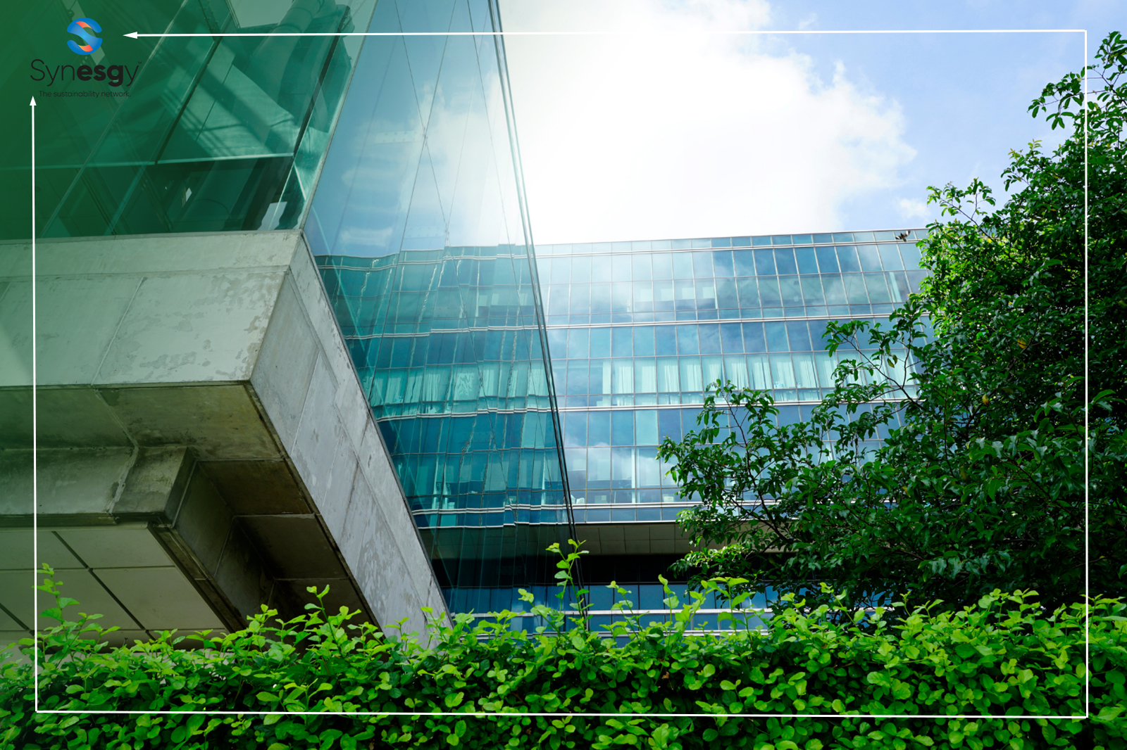 Synesgy Onsite Article Your ESG Sustainability Certification Could Be The Difference Between Winning Or Losing UAE Contracts.