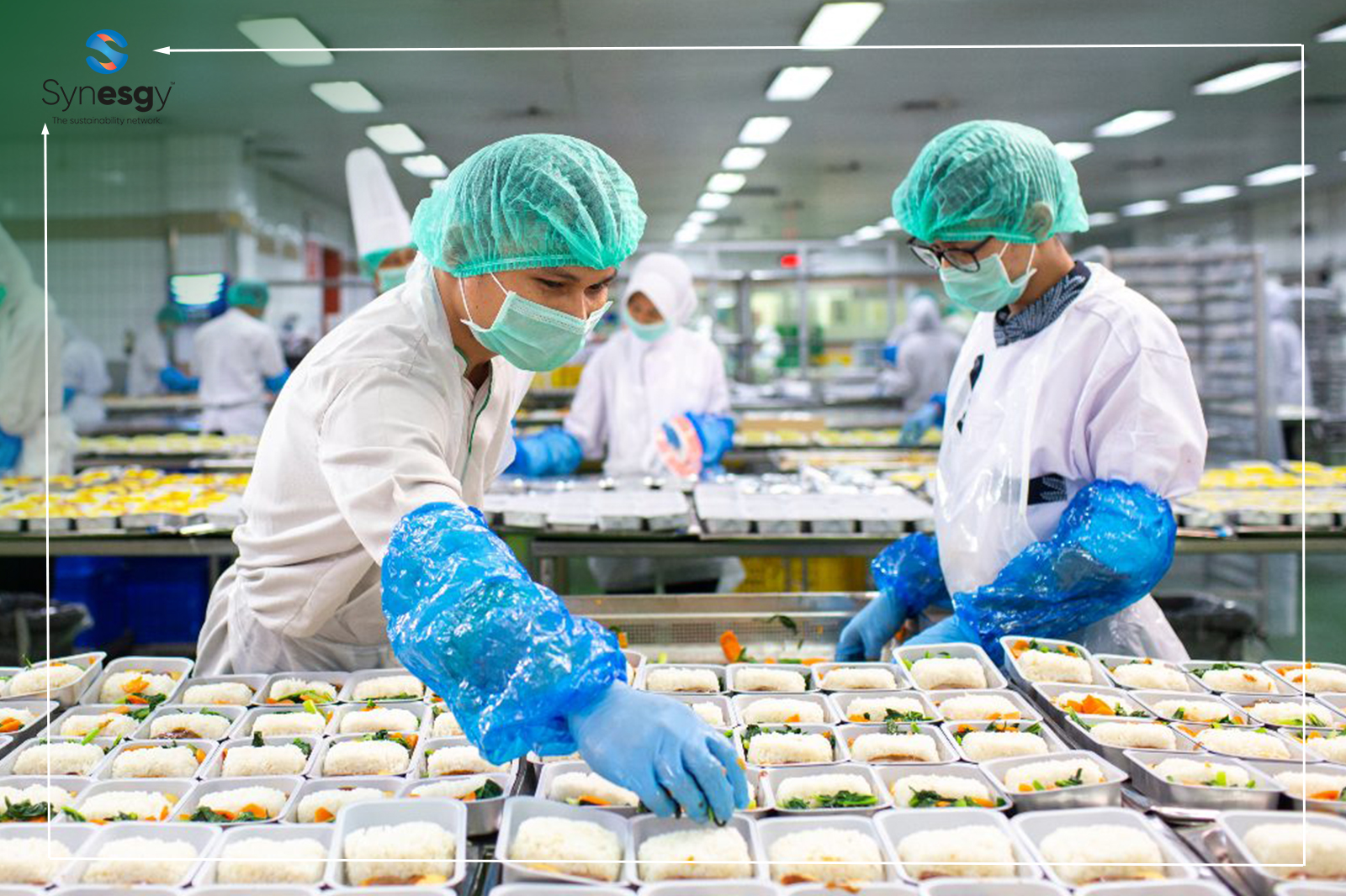 Synesgy Onsite Article UAE Food & Beverage Compliance 2026; The Complete Regulatory Guide For F&B Businesses.
