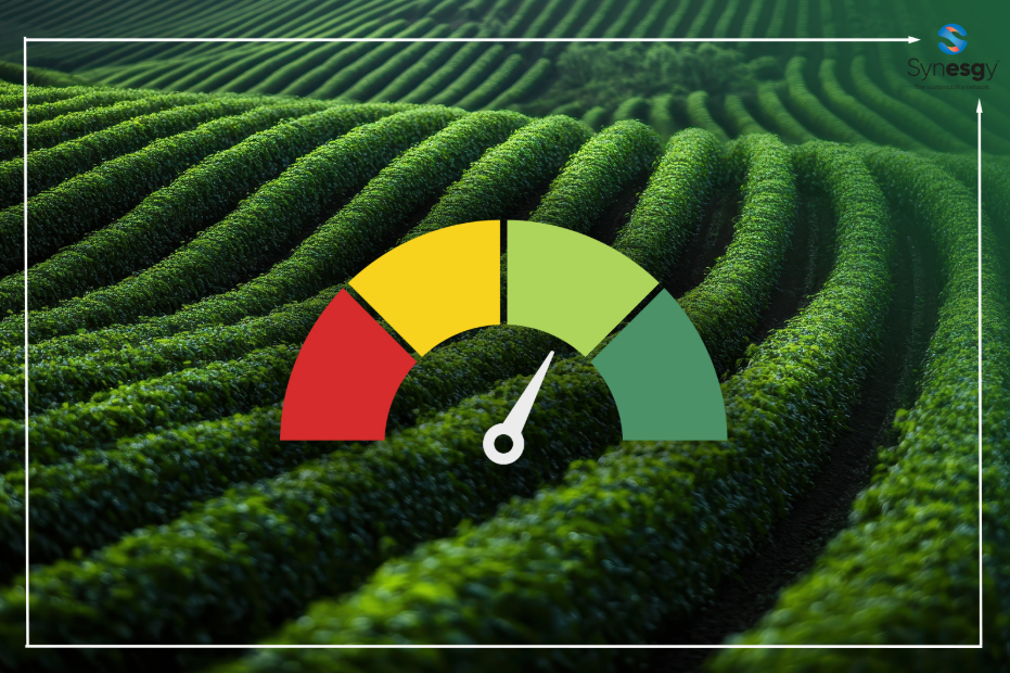 Common Reasons Businesses Get A Lower Sustainability Score Than Expected