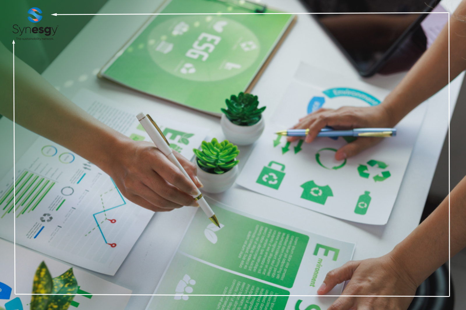 Synesgy Onsite Article ESG Risk Assessment In Banking And Financial Services; Managing ESG Exposure.